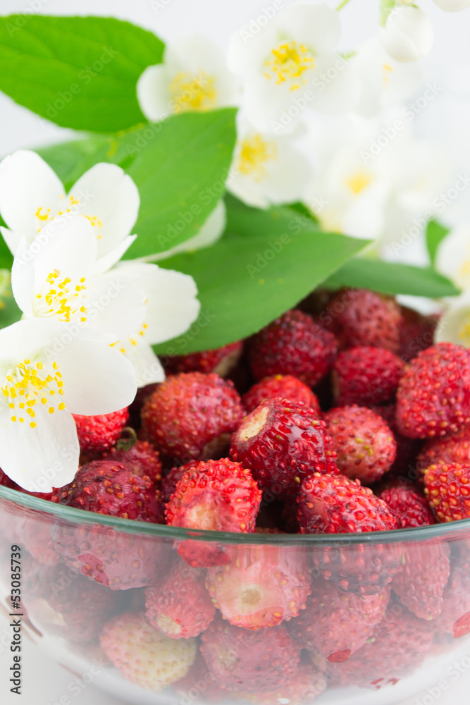 Wild strawberry in a plate with jasmine Wild strawberry in a plate with jasmine