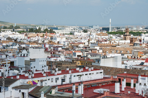 Fototapeta Naklejka Na Ścianę i Meble -  Panoramic view of Seville, Andalusia (Spain)