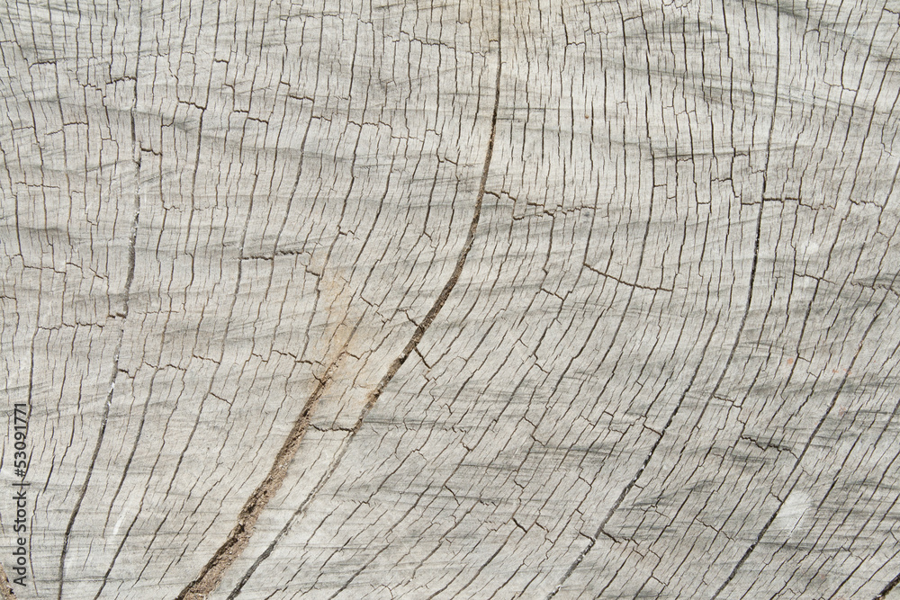 Fototapeta premium Grunge of texture wood materials background