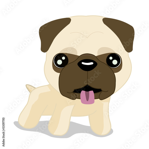 cute Pug puppy dog isolated on a white background