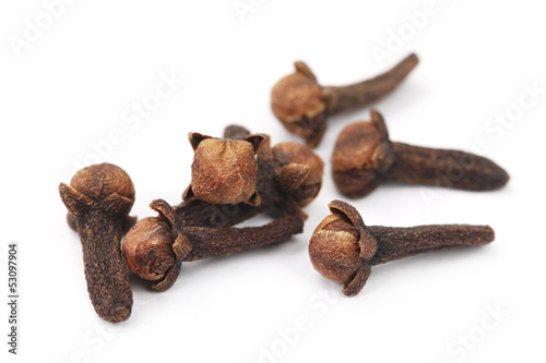 Cloves Scattered on White Background