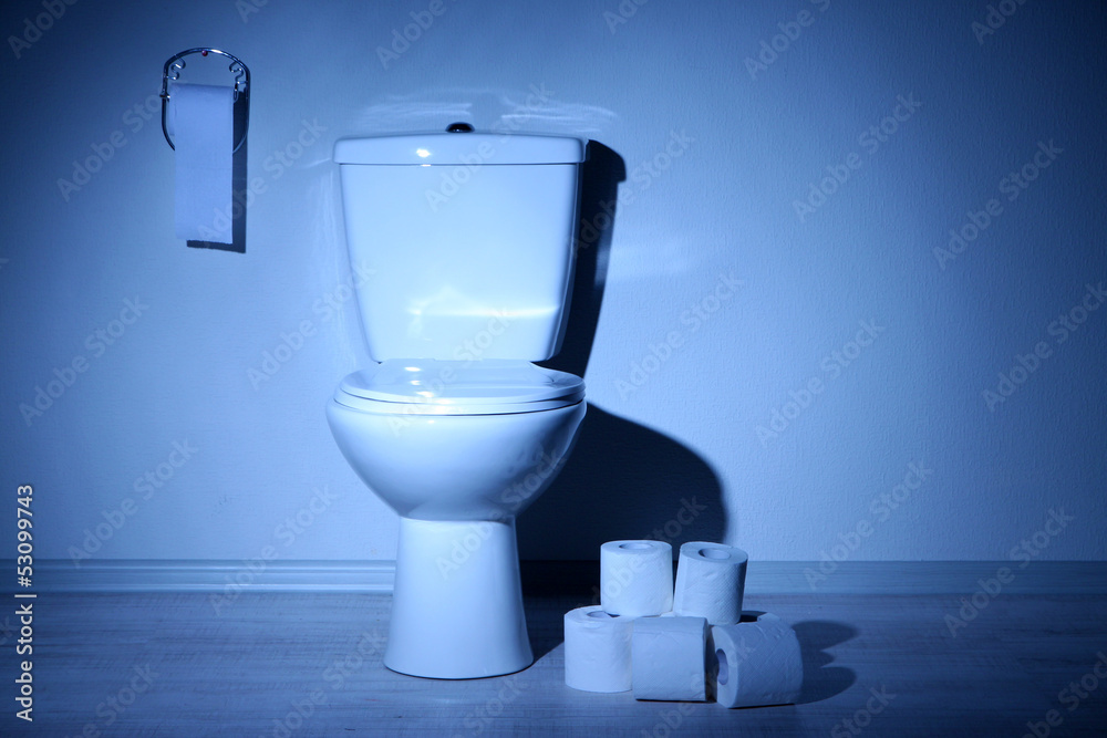 Toilet bowl and toilet paper in a bathroom with blue light Toilet bowl and toilet paper in a bathroom with blue light