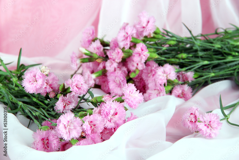 Many small pink cloves on light fabric background Many small pink cloves on light fabric background