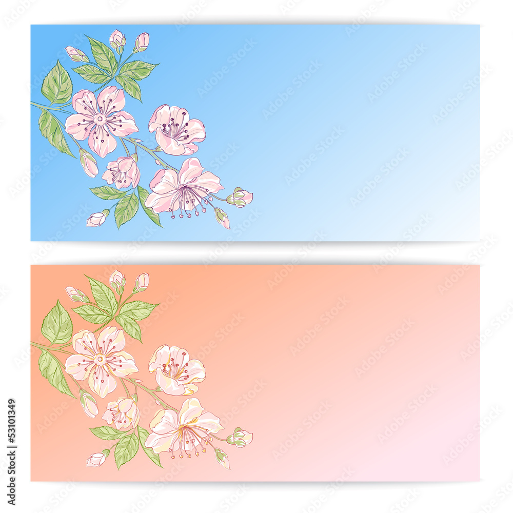 Two sakura banners. Two sakura banners.