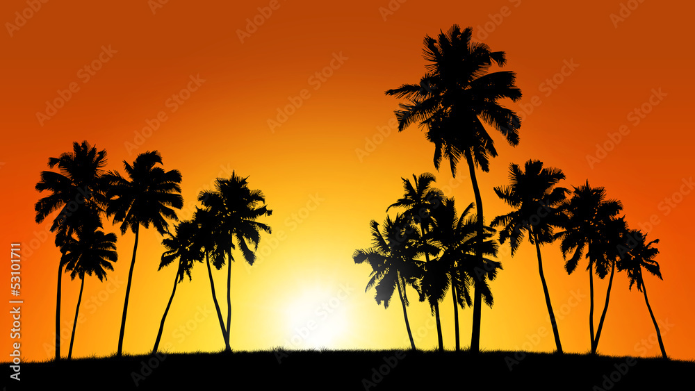 group of coconut trees on sunset background