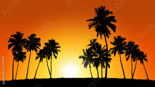 group of coconut trees on sunset background