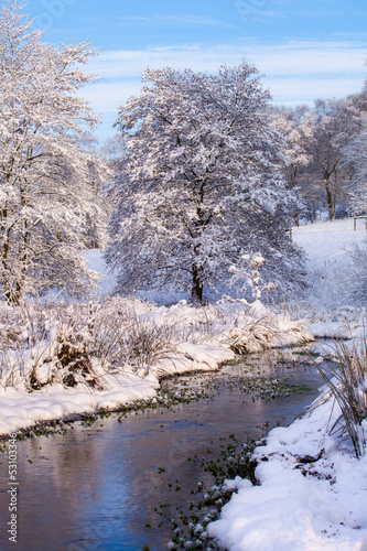 winter landscape with river and trees. Christmas card, winter scene
