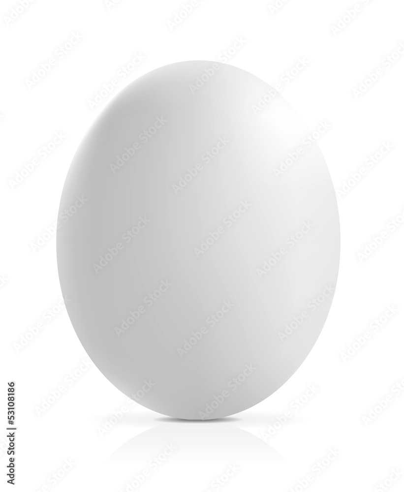 close up of an egg on a white background close up of an egg on a white background
