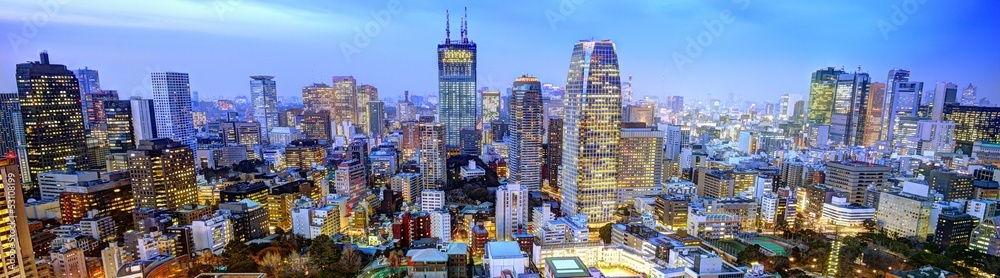 Naklejka premium Panorama Tokio