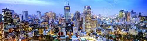 Obraz Panorama Tokio