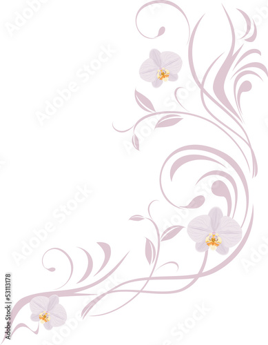 Ornamental sprig with orchids isolated on the white