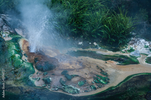 hot spring in Waimangu volcanic valley