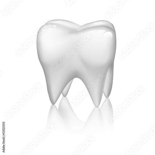 Tooth