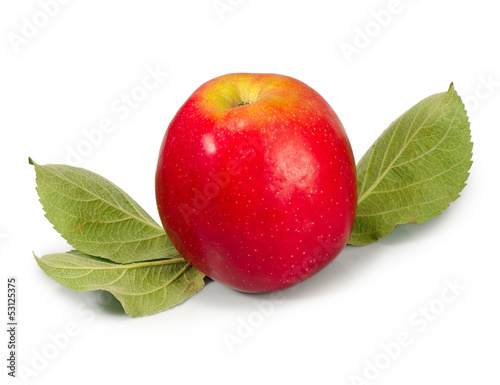 one apple isolate