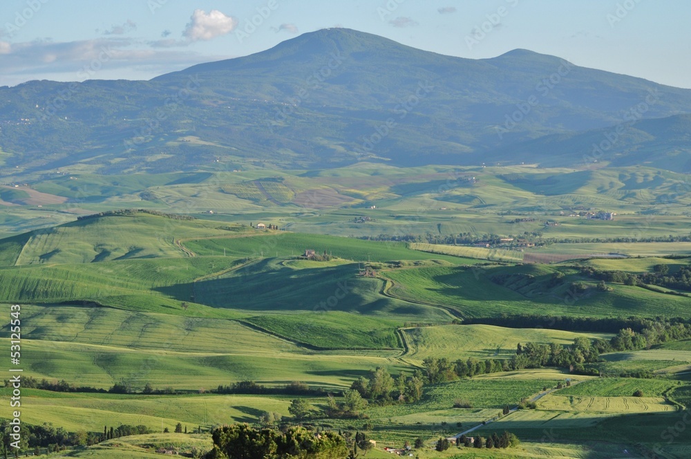 Fototapeta premium Monta Amiata, Toskana