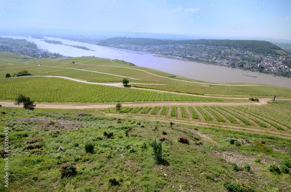 Fototapeta premium Weinberge Bingen am Rhein