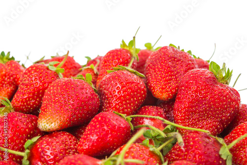 Organic garden strawberry