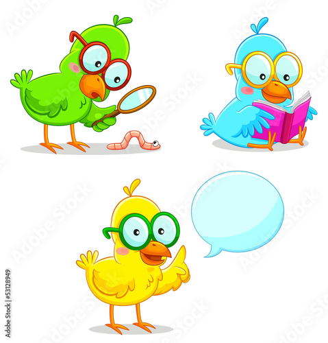 three smart birds learning and exploring