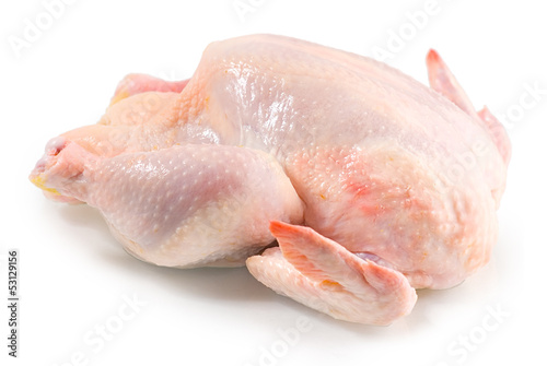 fresh raw chicken on a white background
