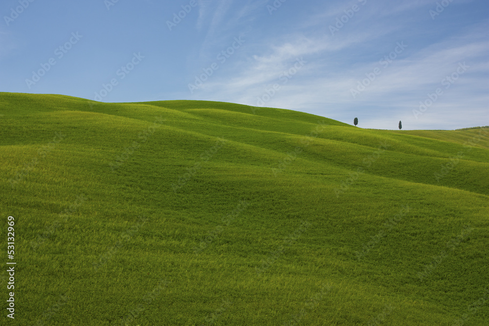 Fototapeta premium Tuscany landscape