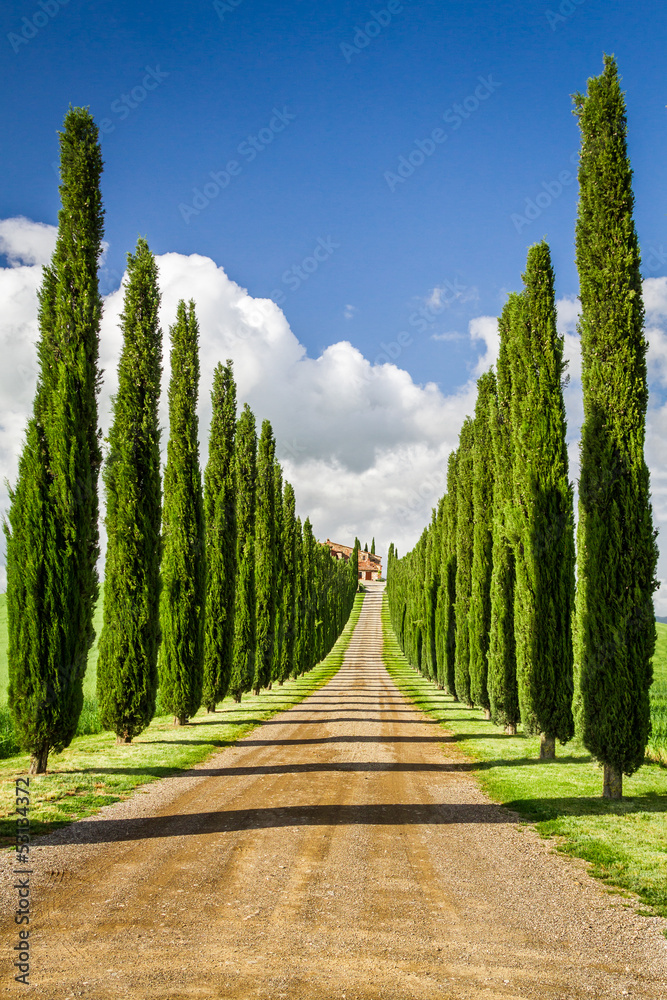 Road to agritourism in Tuscany between cypresses