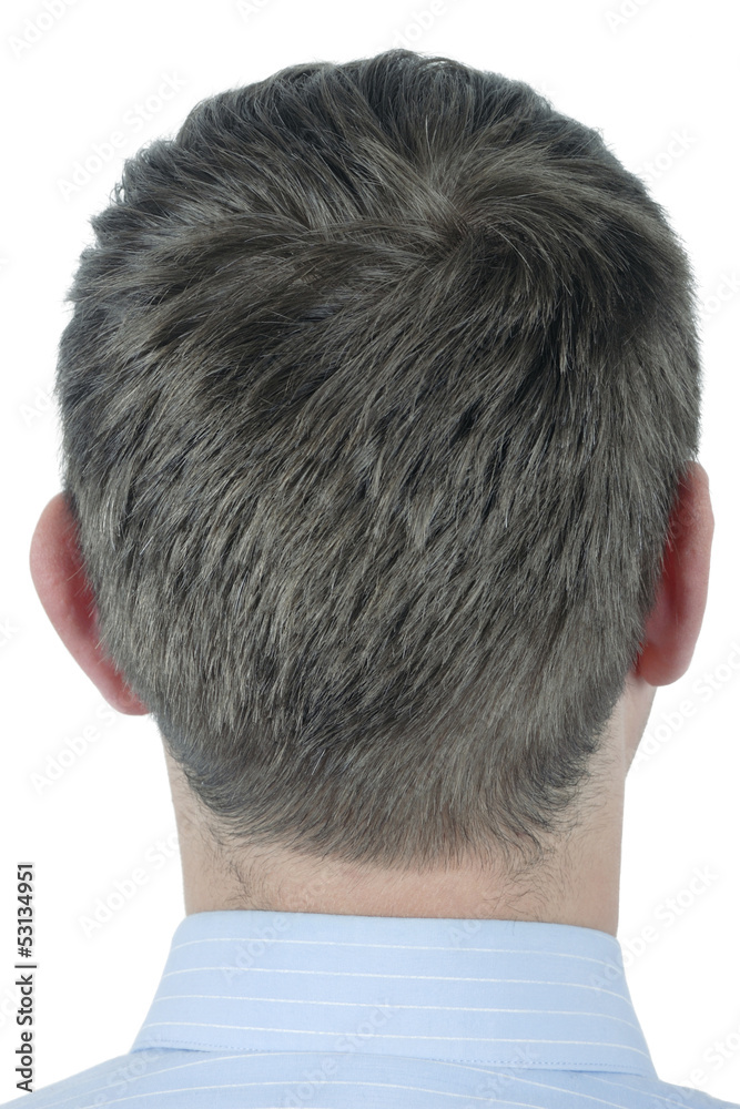 man's head isolated man's head isolated