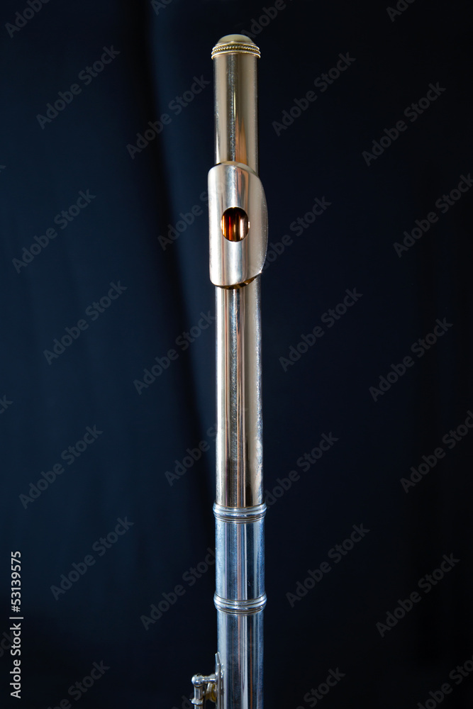 Fototapeta premium golden flute