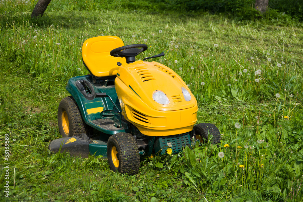Fototapeta premium lawn mower in the garden