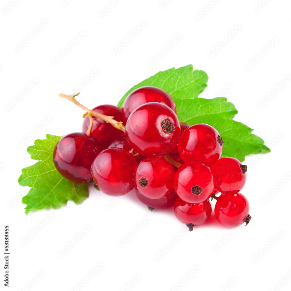 currant with leaf on white background