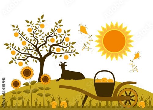 apple harvest