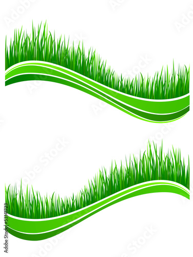 Waves of fresh spring green grass