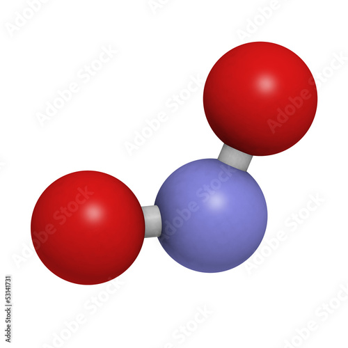 Nitrite (NO2-) anion. Nitrite salts are used in the curing of me