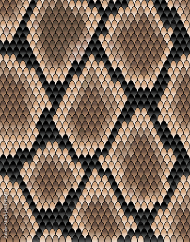 Seamless pattern of snake skin