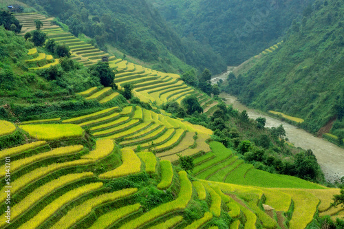 Rice fields on terraced of Mu Cang Chai, YenBai, Vietnam. Rice fields prepare the harvest at Northwest Vietnam.Vietnam landscapes. © vutuankhanh