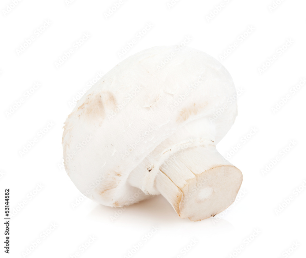 Champignon mushroom Champignon mushroom