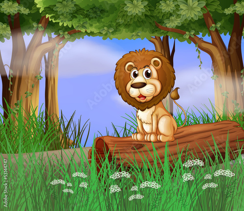 A lion sitting on a trunk
