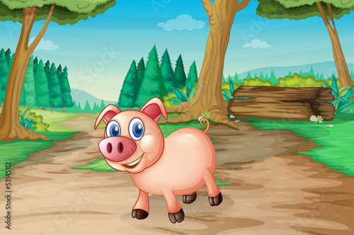 A pig at the forest
