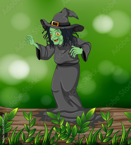 A scary witch above a trunk