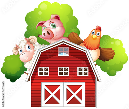 A sheep, a pig and a chicken hiding at the back of a barn