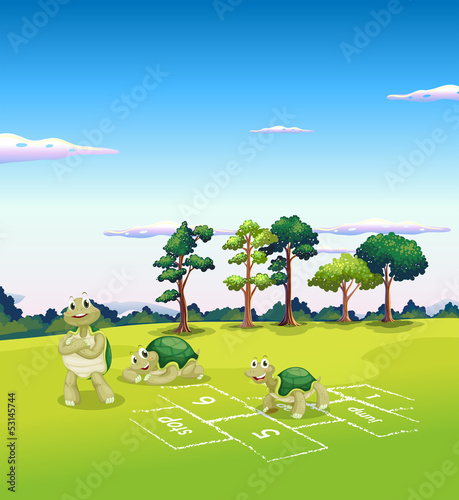 Tree turtles playing