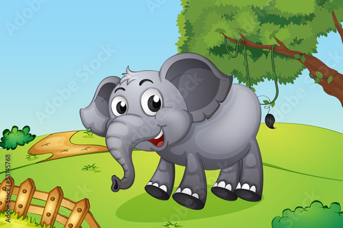 An elephant jumping inside the wooden fence