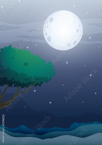 A moonlight scenery