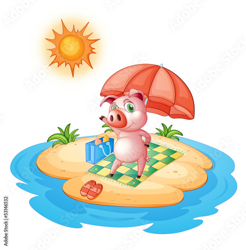 A pig at the beach