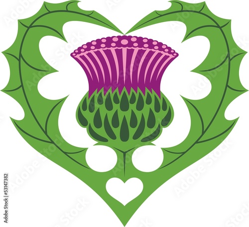 Scottish Heart & Thistle tattoo photo