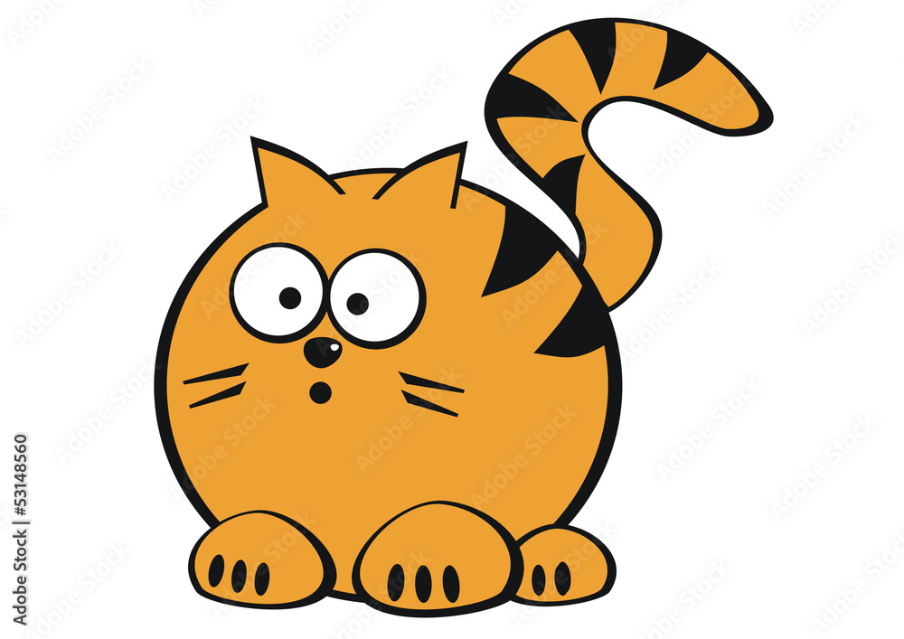 Fototapeta premium kocur