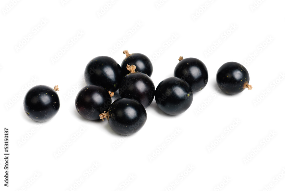 fresh currant closeup isolated on a white background. fresh currant closeup isolated on a white background.
