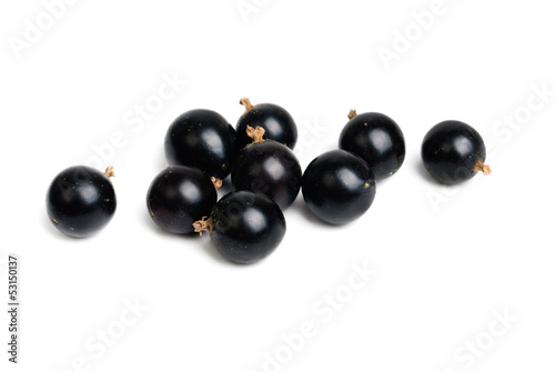 fresh currant closeup isolated on a white background.