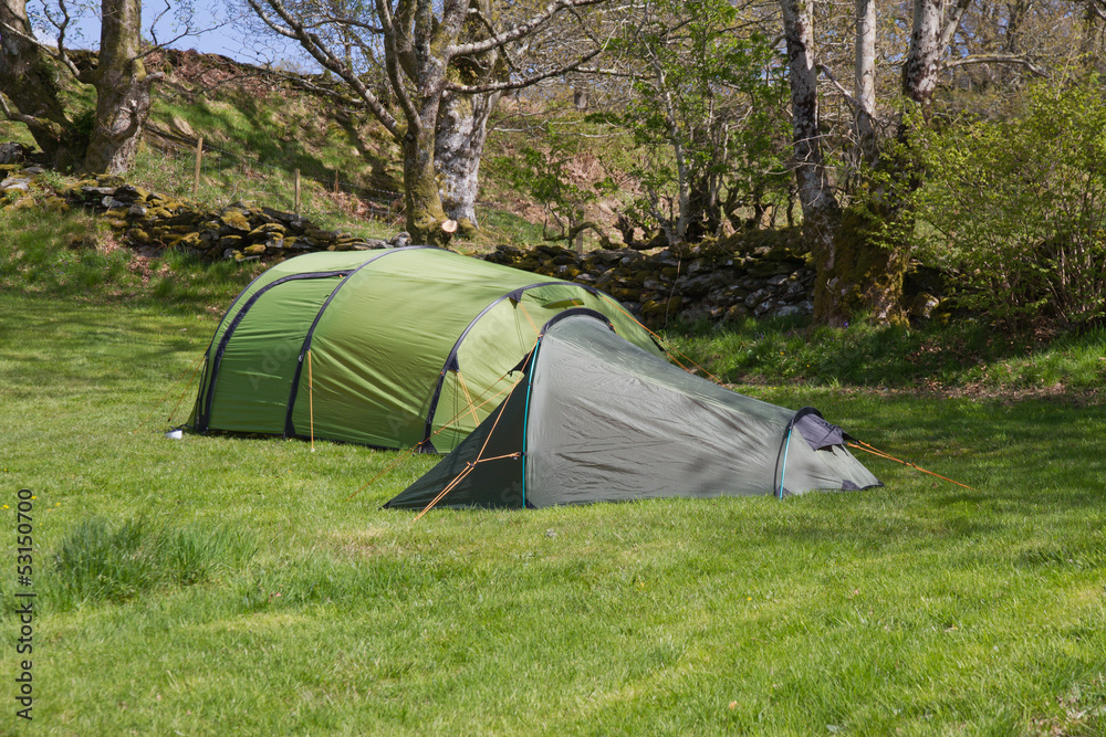 A green camping glade