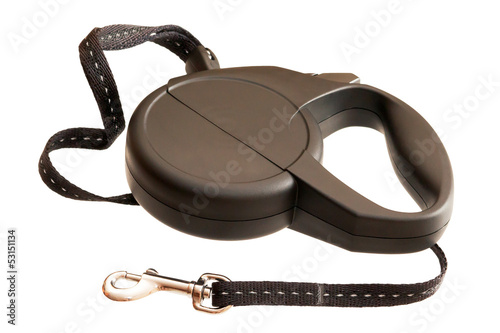 Retractable leash for dog isolated on white background