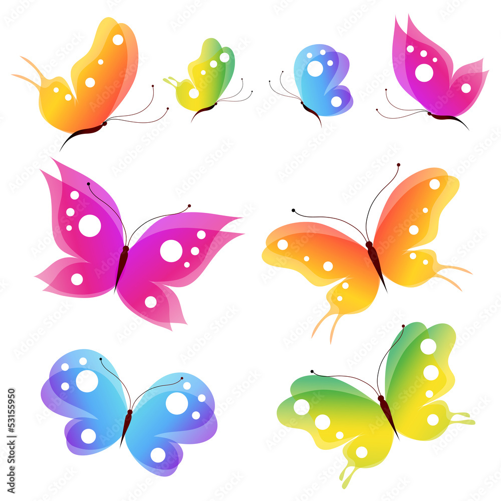 butterfly,butterflies butterfly,butterflies